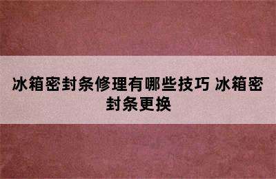 冰箱密封条修理有哪些技巧 冰箱密封条更换